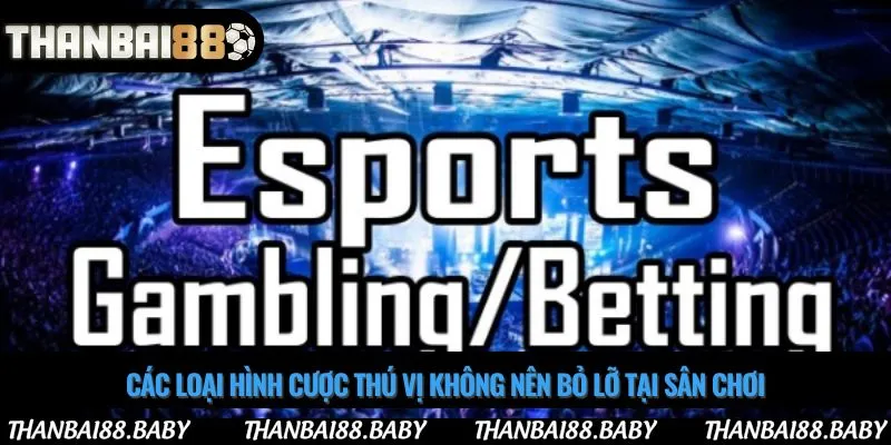 Các loại hình cược thú vị không nên bỏ lỡ tại sân chơi