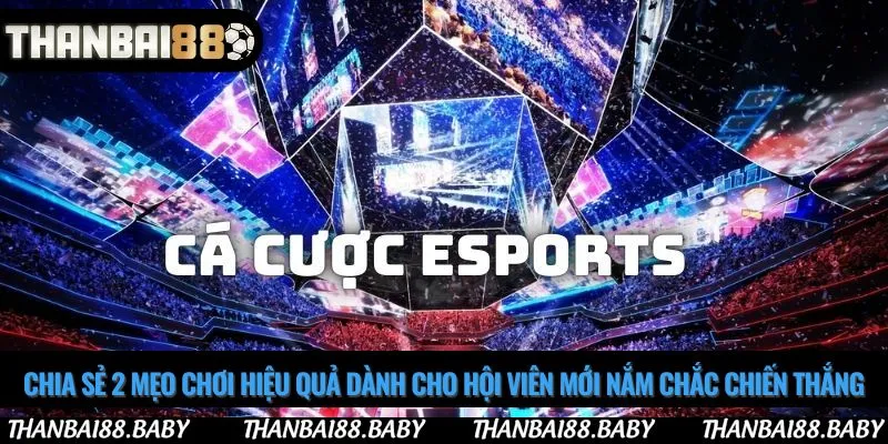Chia sẻ 2 mẹo chơi hiệu quả dành cho hội viên mới nắm chắc chiến thắng